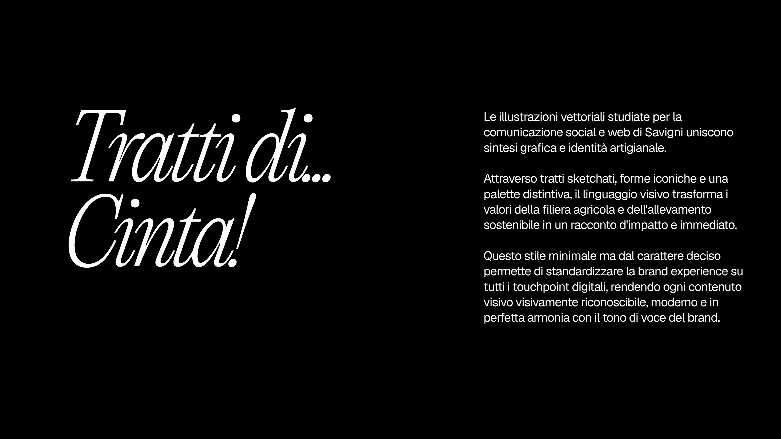 Savigni — Illustrazioni vettoriali — slide 2